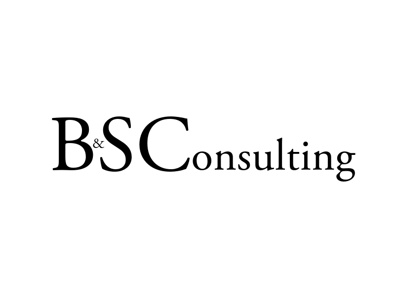 Logo ByS Consulting